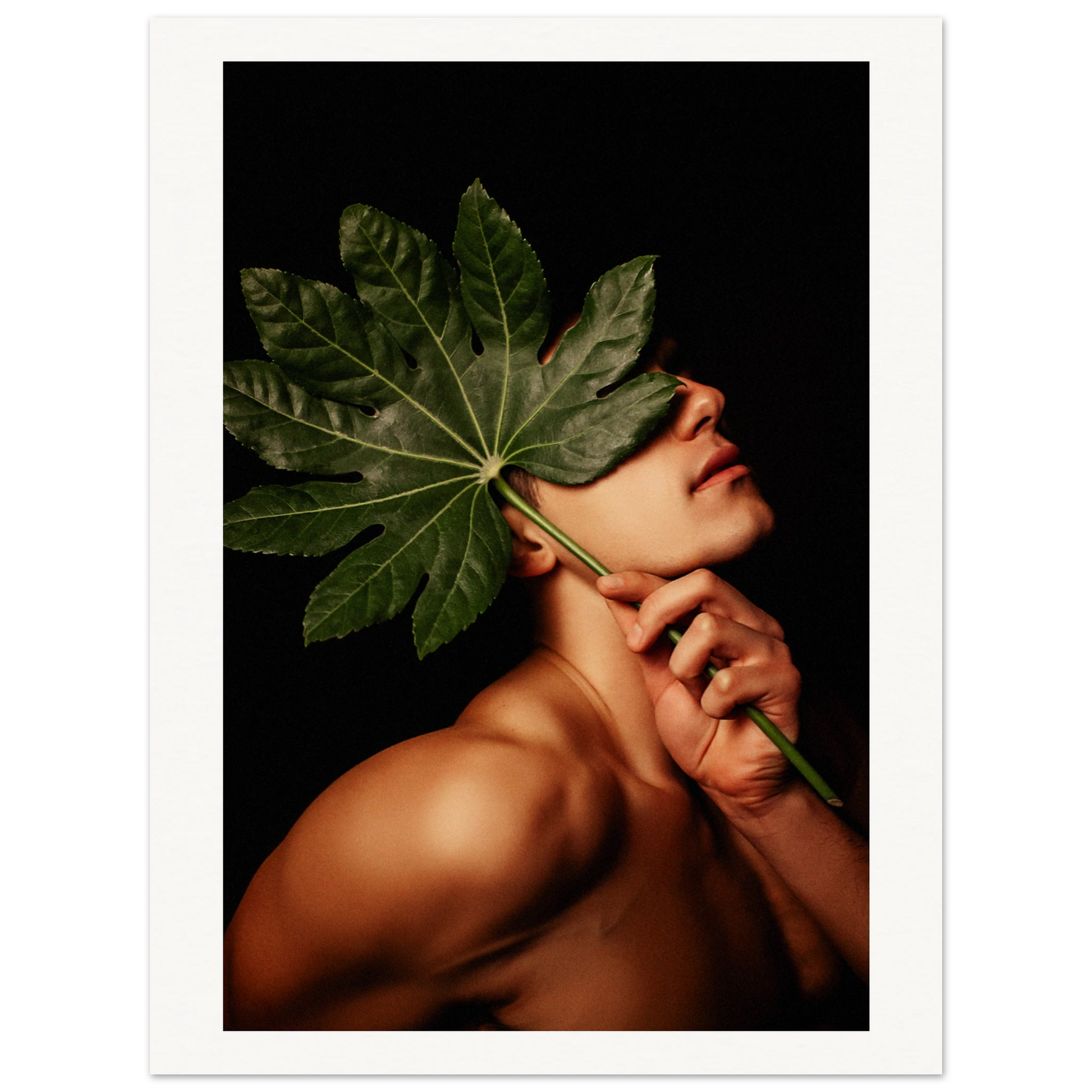 15952368-f789-442b-b4a9-8d740e4e94c1